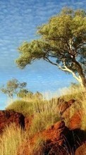 Scaricare immagine Trees, Clouds, Landscape, Plants, Grass sul telefono gratis.