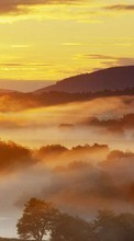 Scaricare immagine Trees, Clouds, Landscape, Sunset sul telefono gratis.