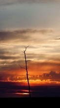 Scaricare immagine Trees, Clouds, Landscape, Sunset sul telefono gratis.