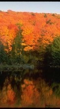 Scaricare immagine 1080x1920 Landscape, Trees, Autumn, Lakes sul telefono gratis.
