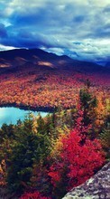 Scaricare immagine Trees,Autumn,Lakes,Landscape sul telefono gratis.