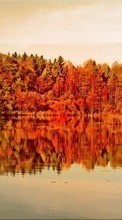 Scaricare immagine Landscape, Water, Trees, Autumn, Lakes sul telefono gratis.