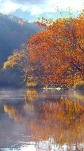 Scaricare immagine 800x480 Landscape, Water, Trees, Autumn, Lakes sul telefono gratis.