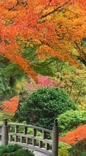 Scaricare immagine Landscape, Trees, Autumn, Parks sul telefono gratis.