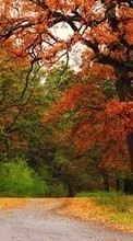 Trees,Autumn,Parks,Landscape,Nature per BlackBerry Bold 9000