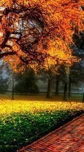 Trees, Autumn, Landscape per BlackBerry Curve 9360