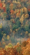 Scaricare immagine Trees,Autumn,Landscape sul telefono gratis.