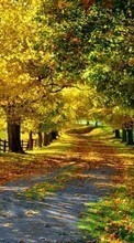 Scaricare immagine Trees,Autumn,Landscape sul telefono gratis.