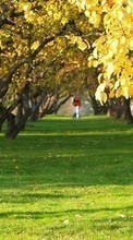 Scaricare immagine 240x320 Landscape, Trees, Autumn sul telefono gratis.