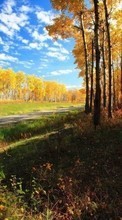 Scaricare immagine 128x160 Landscape, Trees, Autumn sul telefono gratis.