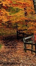 Scaricare immagine 128x160 Landscape, Trees, Autumn sul telefono gratis.