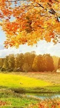 Scaricare immagine Trees, Autumn, Landscape, Fields sul telefono gratis.