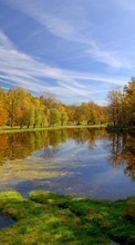Trees, Autumn, Landscape, Rivers per Samsung Galaxy S7 Edge