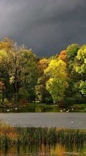 Scaricare immagine Trees, Autumn, Landscape, Rivers sul telefono gratis.