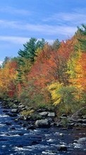 Scaricare immagine Trees, Autumn, Landscape, Rivers sul telefono gratis.
