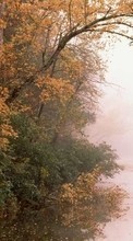 Scaricare immagine Trees,Autumn,Landscape,Rivers sul telefono gratis.