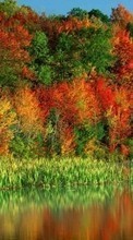 Scaricare immagine 128x160 Landscape, Rivers, Trees, Autumn sul telefono gratis.