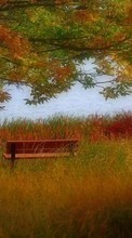 Scaricare immagine Trees, Autumn, Landscape, Rivers, Grass sul telefono gratis.