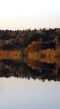 Scaricare immagine 240x320 Landscape, Water, Rivers, Trees, Autumn sul telefono gratis.