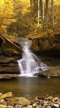 Scaricare immagine Trees, Autumn, Landscape, Rivers, Waterfalls sul telefono gratis.