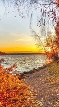Scaricare immagine Trees, Autumn, Landscape, Rivers, Sunset sul telefono gratis.