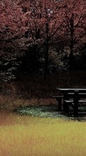 Scaricare immagine Trees, Autumn, Landscape, Grass sul telefono gratis.