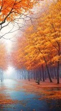Scaricare immagine Trees, Autumn, Landscape, Streets sul telefono gratis.