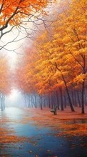 Scaricare immagine Trees, Autumn, Landscape, Streets sul telefono gratis.