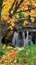 Scaricare immagine Trees,Autumn,Landscape,Waterfalls sul telefono gratis.