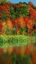 Scaricare immagine Plants, Water, Trees, Autumn sul telefono gratis.