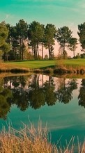 Scaricare immagine Trees, Lakes, Landscape sul telefono gratis.