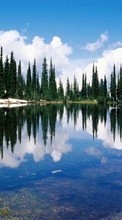 Scaricare immagine Trees,Lakes,Landscape sul telefono gratis.
