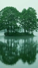 Scaricare immagine Landscape, Trees, Lakes sul telefono gratis.