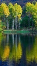 Scaricare immagine 320x480 Landscape, Trees, Lakes sul telefono gratis.