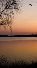 Scaricare immagine Landscape, Trees, Sunset, Sun, Lakes sul telefono gratis.