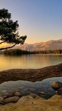 Scaricare immagine 240x400 Landscape, Water, Trees, Lakes sul telefono gratis.
