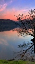 Scaricare immagine 1280x800 Landscape, Water, Trees, Lakes sul telefono gratis.
