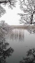 Scaricare immagine Landscape, Winter, Water, Trees, Lakes sul telefono gratis.