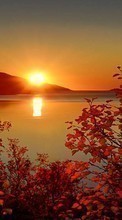 Scaricare immagine Trees, Lakes, Landscape, Sunset sul telefono gratis.