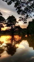 Scaricare immagine 128x160 Landscape, Trees, Sunset, Lakes sul telefono gratis.