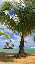Scaricare immagine 240x320 Landscape, Trees, Beach, Palms sul telefono gratis.