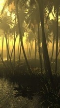 Scaricare immagine Landscape, Trees, Sun, Palms sul telefono gratis.