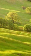 Scaricare immagine 800x480 Landscape, Trees sul telefono gratis.