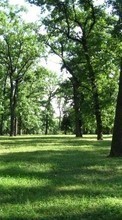 Scaricare immagine Trees, Landscape sul telefono gratis.