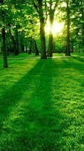 Trees,Landscape per HTC Desire VT