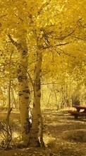 Scaricare immagine Trees,Landscape sul telefono gratis.
