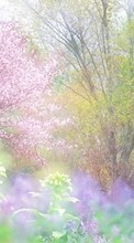 Scaricare immagine 1024x600 Landscape, Trees sul telefono gratis.