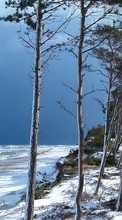 Scaricare immagine 320x480 Landscape, Trees sul telefono gratis.