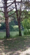 Scaricare immagine Landscape, Trees sul telefono gratis.