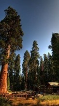 Scaricare immagine 1280x800 Landscape, Trees sul telefono gratis.